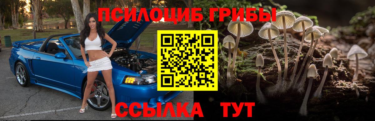 Галлюциногенные грибы Cubensis  Вход с VPN  Елабуга  Псилоцибиновые грибы прущие грибы 